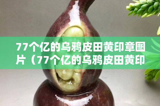 77个亿的乌鸦皮田黄印章图片（77个亿的乌鸦皮田黄印章图片）