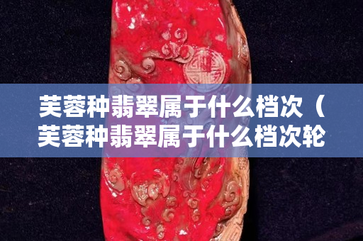 芙蓉种翡翠属于什么档次（芙蓉种翡翠属于什么档次轮胎）