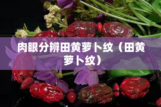 肉眼分辨田黄萝卜纹（田黄 萝卜纹）