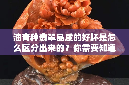 油青种翡翠品质的好坏是怎么区分出来的？你需要知道这些