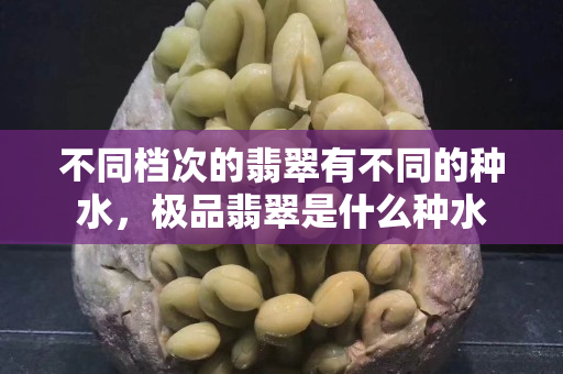 不同档次的翡翠有不同的种水，极品翡翠是什么种水