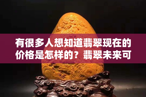 有很多人想知道翡翠现在的价格是怎样的？翡翠未来可是会暴涨的哦！