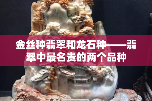 金丝种翡翠和龙石种——翡翠中最名贵的两个品种