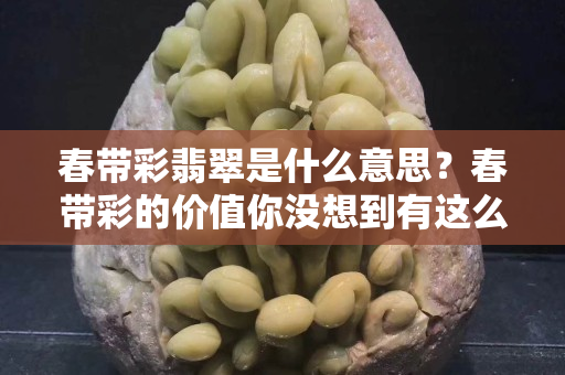 春带彩翡翠是什么意思？春带彩的价值你没想到有这么高吧