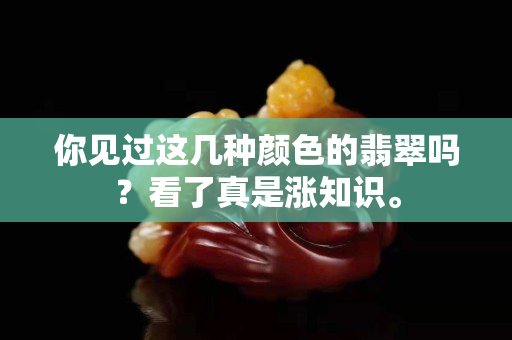 你见过这几种颜色的翡翠吗？看了真是涨知识。