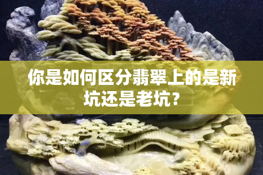 你是如何区分翡翠上的是新坑还是老坑？