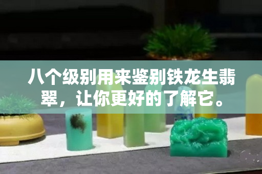 八个级别用来鉴别铁龙生翡翠，让你更好的了解它。