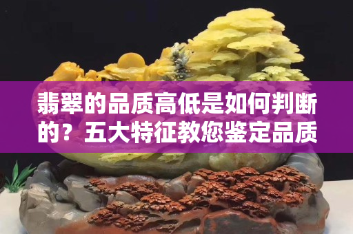 翡翠的品质高低是如何判断的？五大特征教您鉴定品质高低