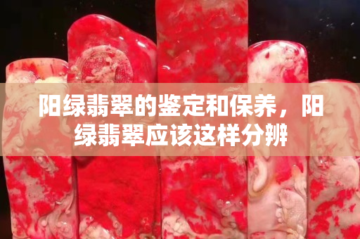 阳绿翡翠的鉴定和保养，阳绿翡翠应该这样分辨