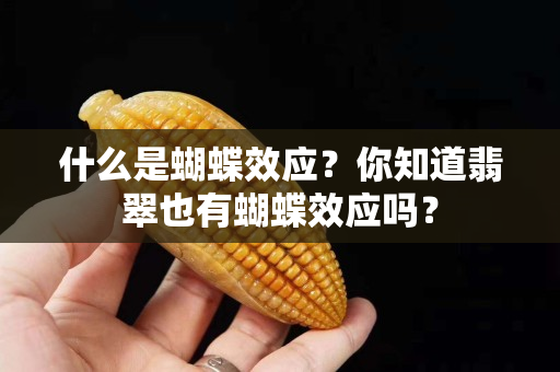 什么是蝴蝶效应？你知道翡翠也有蝴蝶效应吗？