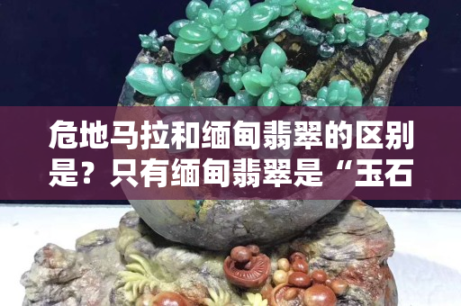 危地马拉和缅甸翡翠的区别是？只有缅甸翡翠是“玉石之王”的原因