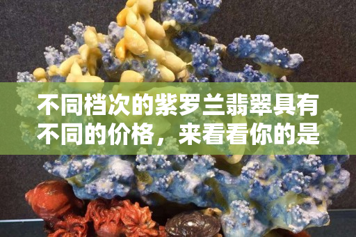 不同档次的紫罗兰翡翠具有不同的价格，来看看你的是属于哪一种。