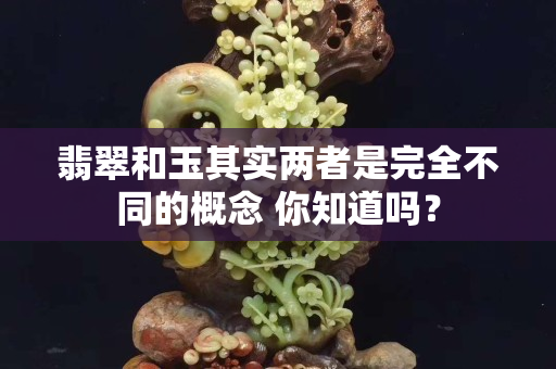 翡翠和玉其实两者是完全不同的概念 你知道吗？