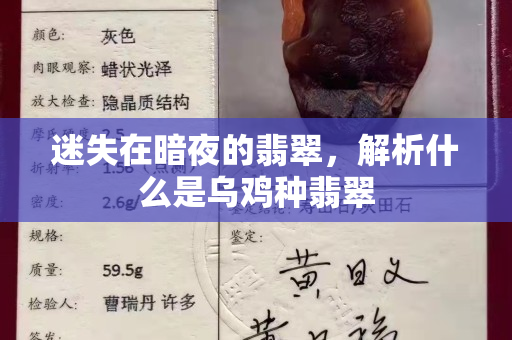 迷失在暗夜的翡翠，解析什么是乌鸡种翡翠