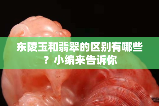 东陵玉和翡翠的区别有哪些？小编来告诉你