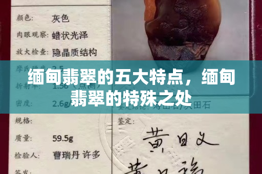 缅甸翡翠的五大特点，缅甸翡翠的特殊之处