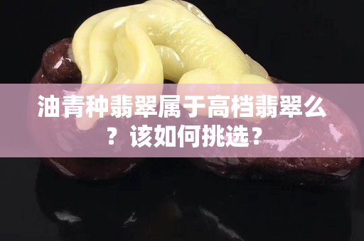 油青种翡翠属于高档翡翠么？该如何挑选？