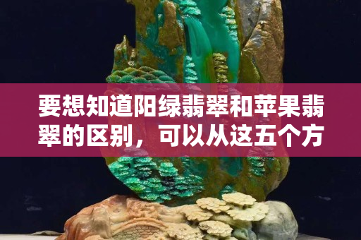 要想知道阳绿翡翠和苹果翡翠的区别，可以从这五个方面了解