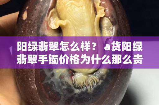 阳绿翡翠怎么样？ a货阳绿翡翠手镯价格为什么那么贵？