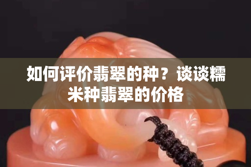 如何评价翡翠的种？谈谈糯米种翡翠的价格