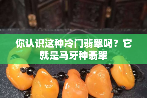 你认识这种冷门翡翠吗？它就是马牙种翡翠