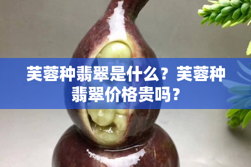 芙蓉种翡翠是什么？芙蓉种翡翠价格贵吗？