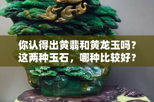 你认得出黄翡和黄龙玉吗？这两种玉石，哪种比较好？