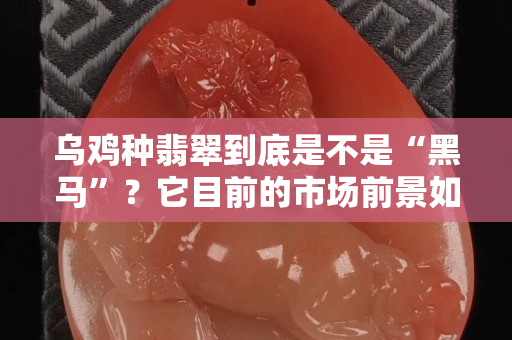 乌鸡种翡翠到底是不是“黑马”？它目前的市场前景如何呢？