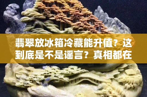 翡翠放冰箱冷藏能升值？这到底是不是谣言？真相都在这里了