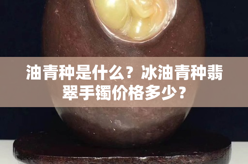 油青种是什么？冰油青种翡翠手镯价格多少？