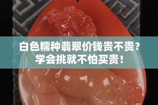 白色糯种翡翠价钱贵不贵？学会挑就不怕买贵！