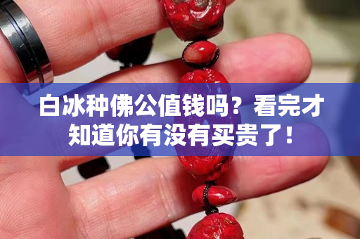 白冰种佛公值钱吗？看完才知道你有没有买贵了！