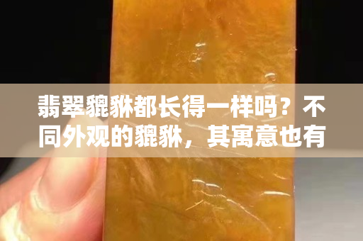 翡翠貔貅都长得一样吗？不同外观的貔貅，其寓意也有所不同！