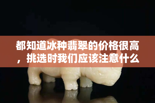 都知道冰种翡翠的价格很高，挑选时我们应该注意什么？