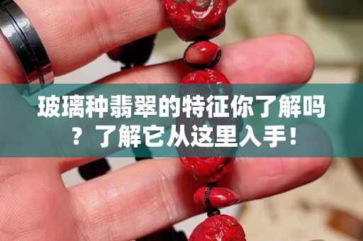 玻璃种翡翠的特征你了解吗？了解它从这里入手！