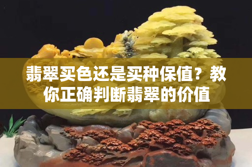 翡翠买色还是买种保值？教你正确判断翡翠的价值