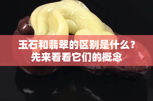 玉石和翡翠的区别是什么？先来看看它们的概念