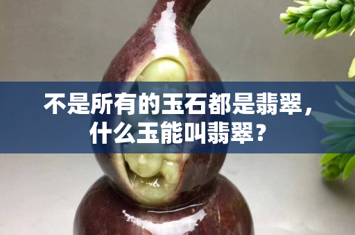 不是所有的玉石都是翡翠，什么玉能叫翡翠？