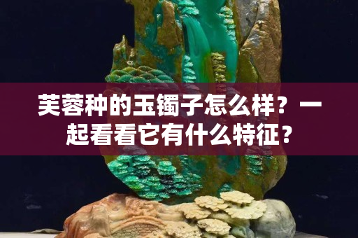 芙蓉种的玉镯子怎么样？一起看看它有什么特征？