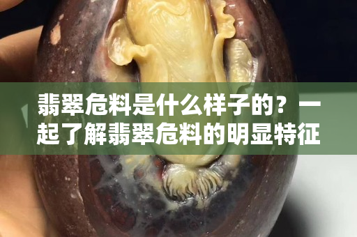 翡翠危料是什么样子的？一起了解翡翠危料的明显特征