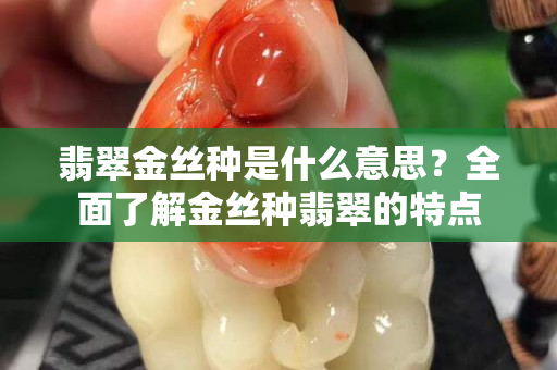 翡翠金丝种是什么意思？全面了解金丝种翡翠的特点