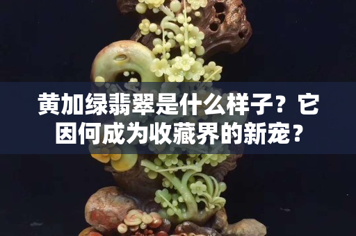 黄加绿翡翠是什么样子？它因何成为收藏界的新宠？