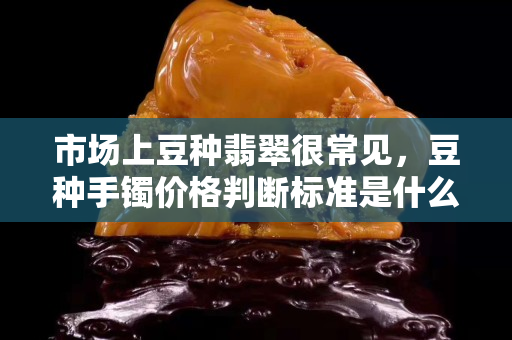 市场上豆种翡翠很常见，豆种手镯价格判断标准是什么？