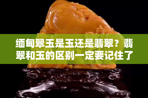 缅甸翠玉是玉还是翡翠？翡翠和玉的区别一定要记住了！