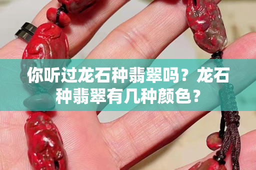 你听过龙石种翡翠吗？龙石种翡翠有几种颜色？