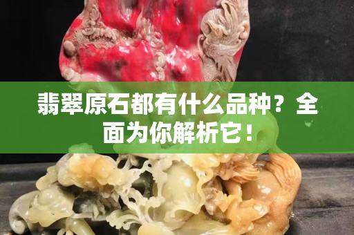 翡翠原石都有什么品种？全面为你解析它！