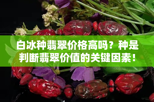 白冰种翡翠价格高吗？种是判断翡翠价值的关键因素！