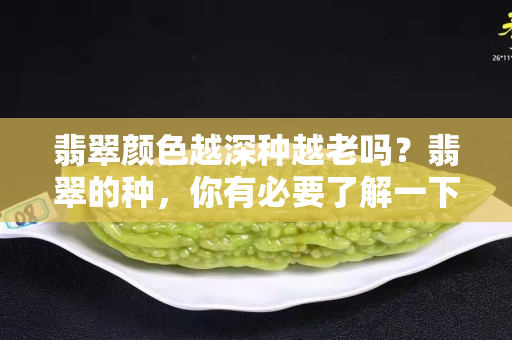 翡翠颜色越深种越老吗？翡翠的种，你有必要了解一下！