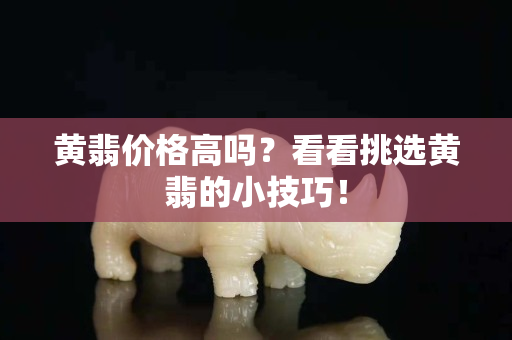 黄翡价格高吗？看看挑选黄翡的小技巧！