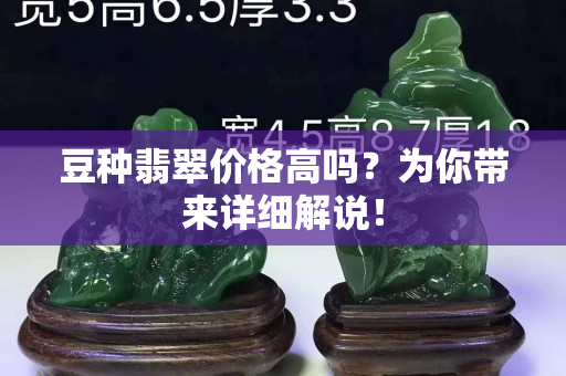 豆种翡翠价格高吗？为你带来详细解说！